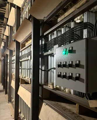 43ce64b4-c75e-413a-a9ea-49f849dc3723-изображение whatsapp 2025-09-30 в 14.21.36_fa03f3b8.jpg