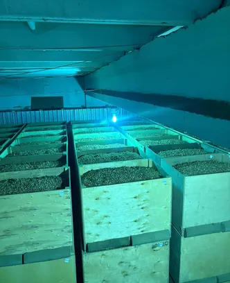 b431c0bc-6a6d-4d58-b8d9-e4c87a588c4c-изображение whatsapp 2025-09-30 в 14.21.35_c8a60391.jpg