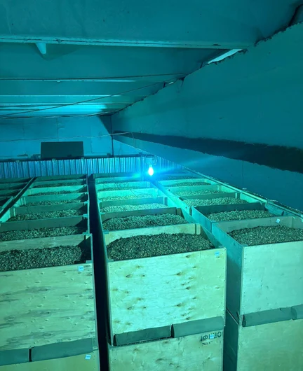 b431c0bc-6a6d-4d58-b8d9-e4c87a588c4c-изображение whatsapp 2025-09-30 в 14.21.35_c8a60391.jpg