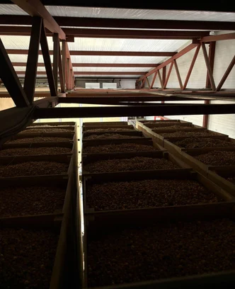 23a8bdc9-2b51-40e2-8860-b80e59145da0-изображение whatsapp 2025-09-30 в 14.21.34_f80bd545.jpg