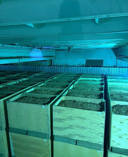 5ad0b861-80c9-4ddd-af67-833ca87b2ba8-изображение whatsapp 2025-09-30 в 14.21.37_95c09782.jpg