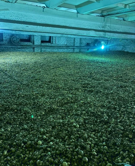 b0fc0960-8050-4374-8714-d9fc700f8b46-изображение whatsapp 2025-09-30 в 14.21.37_c8145106.jpg