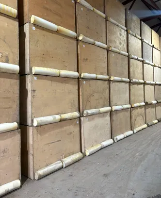 9586148c-0983-472b-9817-bb83cca3b62b-изображение whatsapp 2025-09-30 в 14.21.37_ce5d7046.jpg