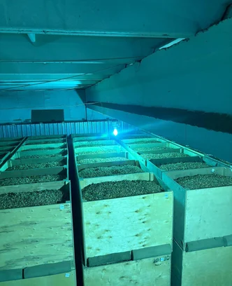 b431c0bc-6a6d-4d58-b8d9-e4c87a588c4c-изображение whatsapp 2025-09-30 в 14.21.35_c8a60391.jpg